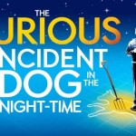 curious incident dog night time