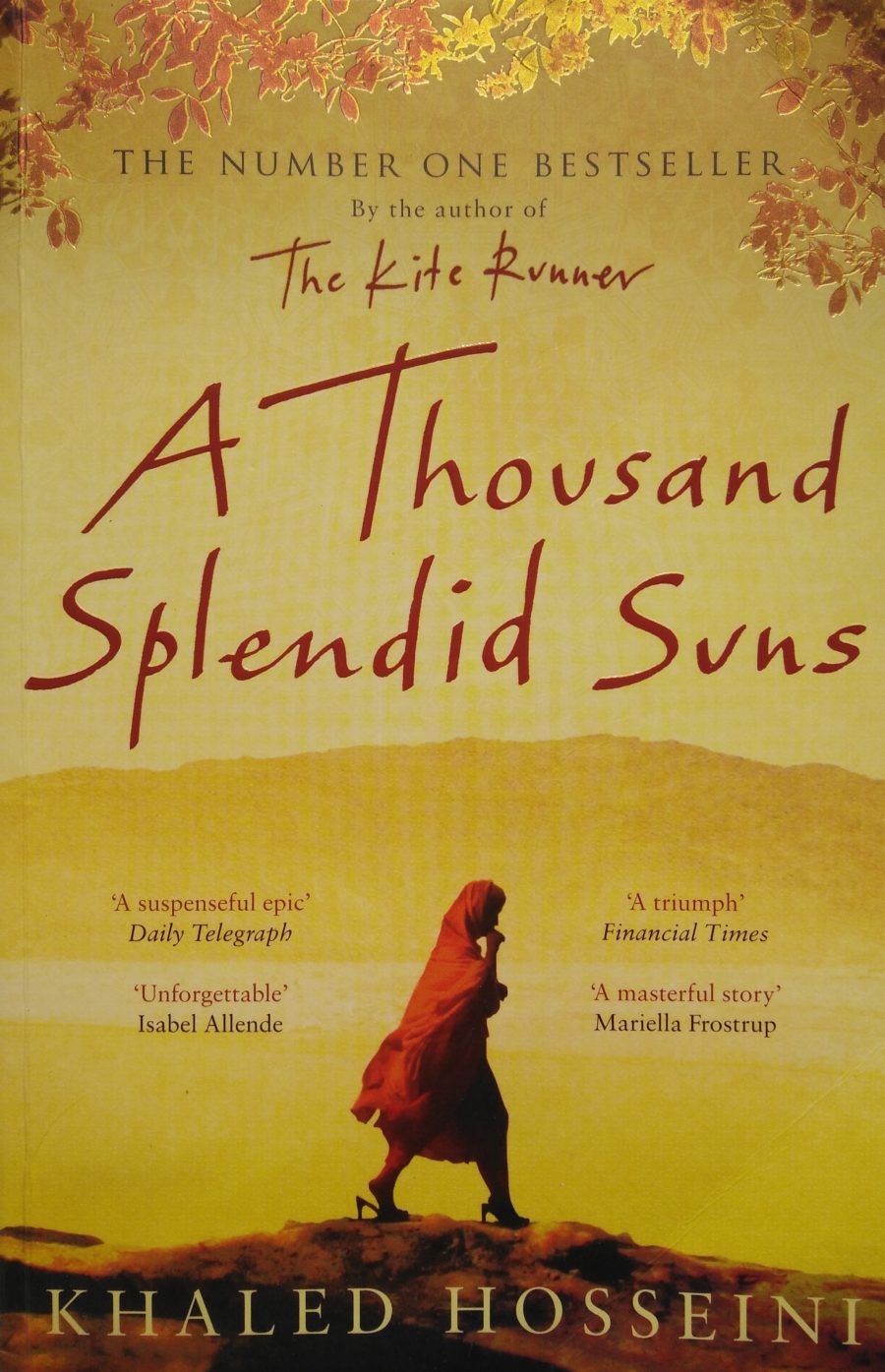 critical essays on a thousand splendid suns
